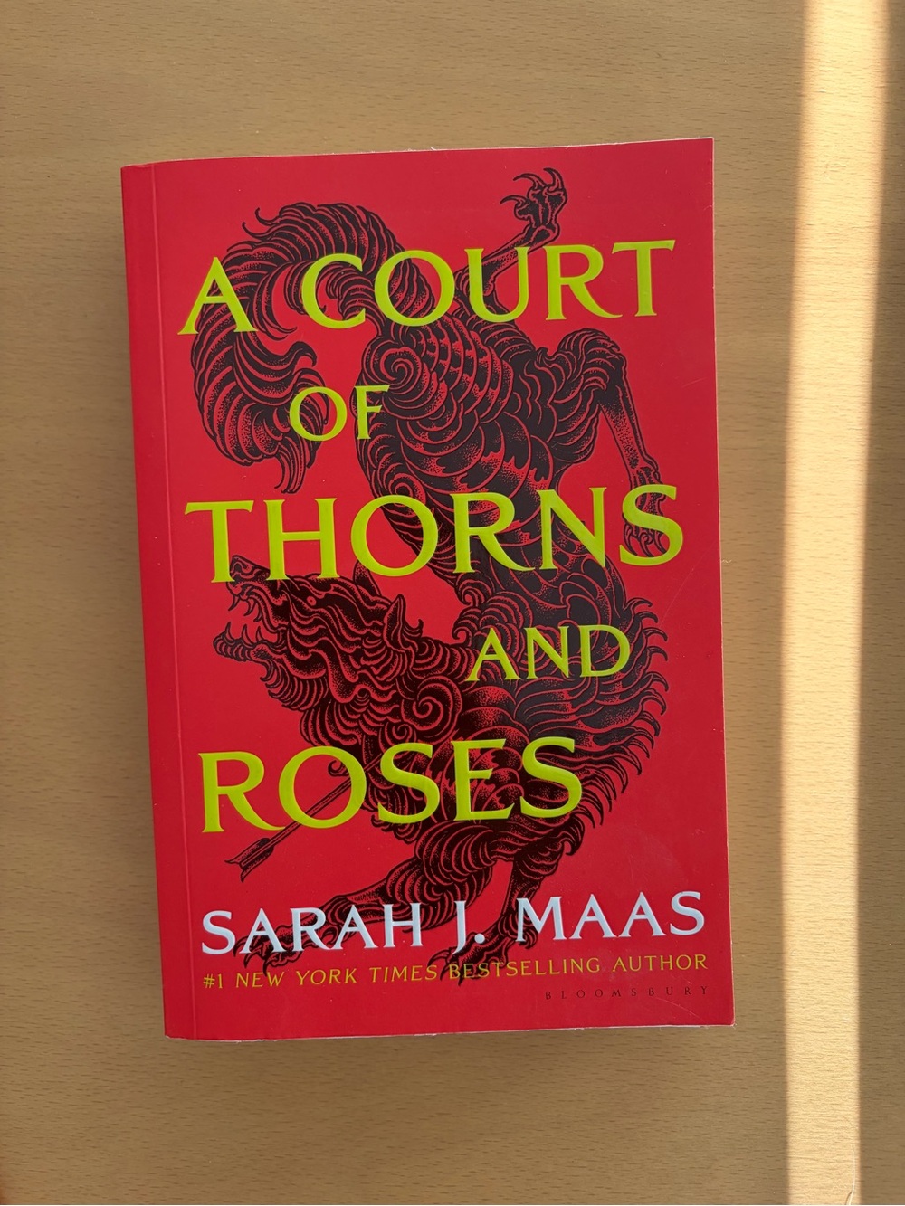 A Court of Thorns and Roses - Sarah J Maas (paperback)